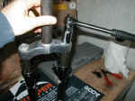 PB071861_WEB.jpg (65945 octets)