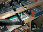 PB071863_WEB.jpg (83872 octets)